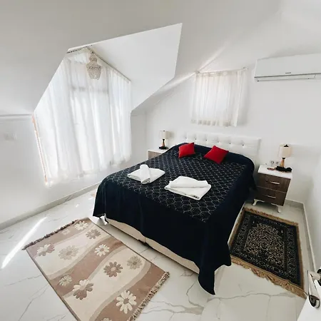 Ad Reeki * 费特希耶